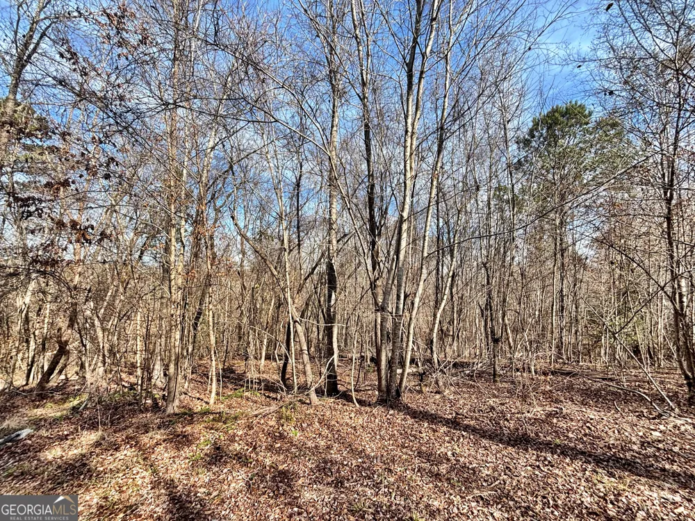 6411 Columbus RD Lizella, GA 31052