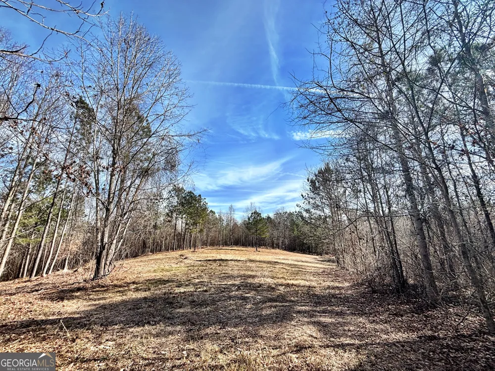 6411 Columbus RD Lizella, GA 31052