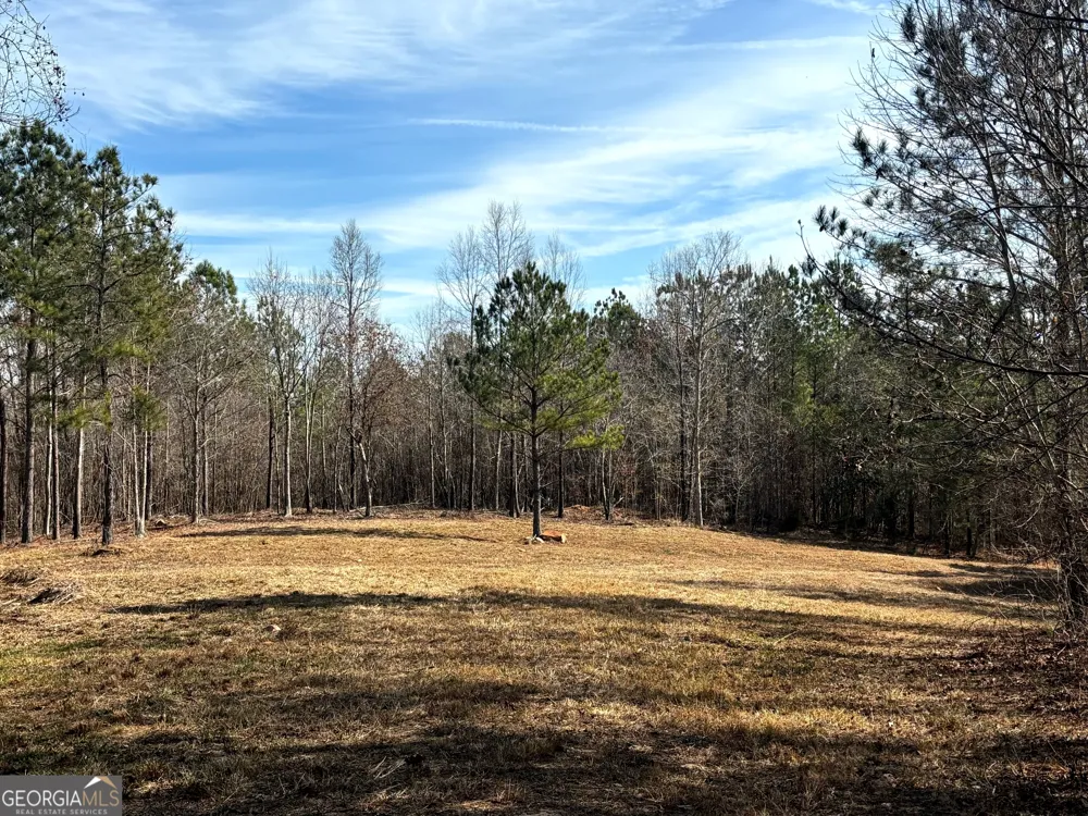 6411 Columbus RD Lizella, GA 31052