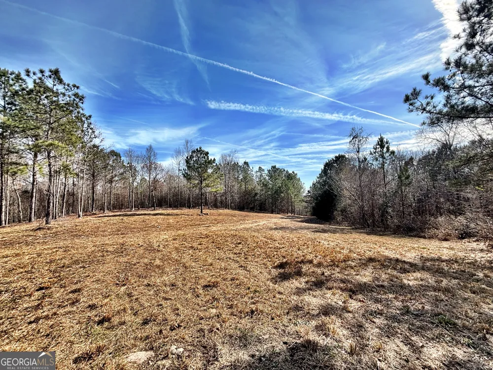 6411 Columbus RD Lizella, GA 31052