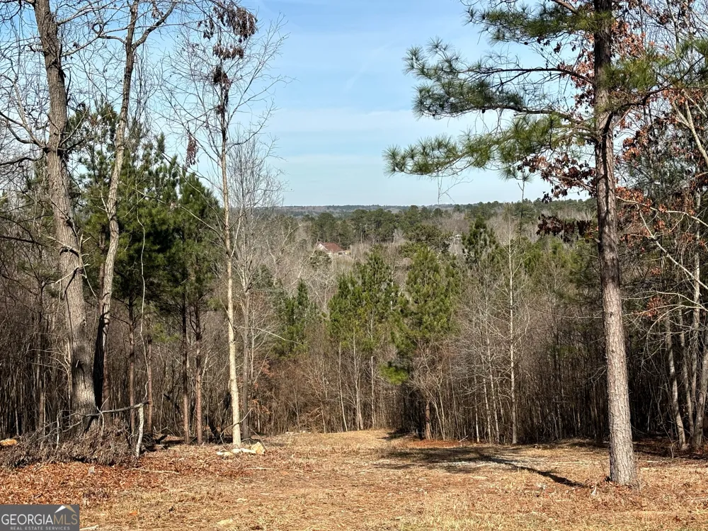 6411 Columbus RD Lizella, GA 31052