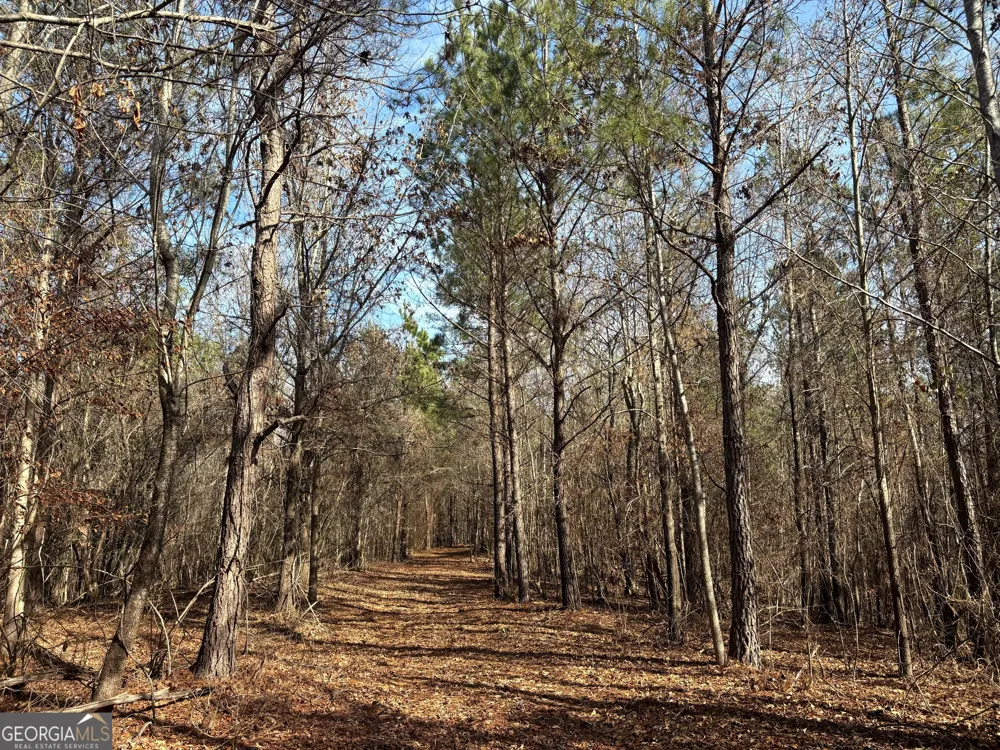 6411 Columbus RD Lizella, GA 31052
