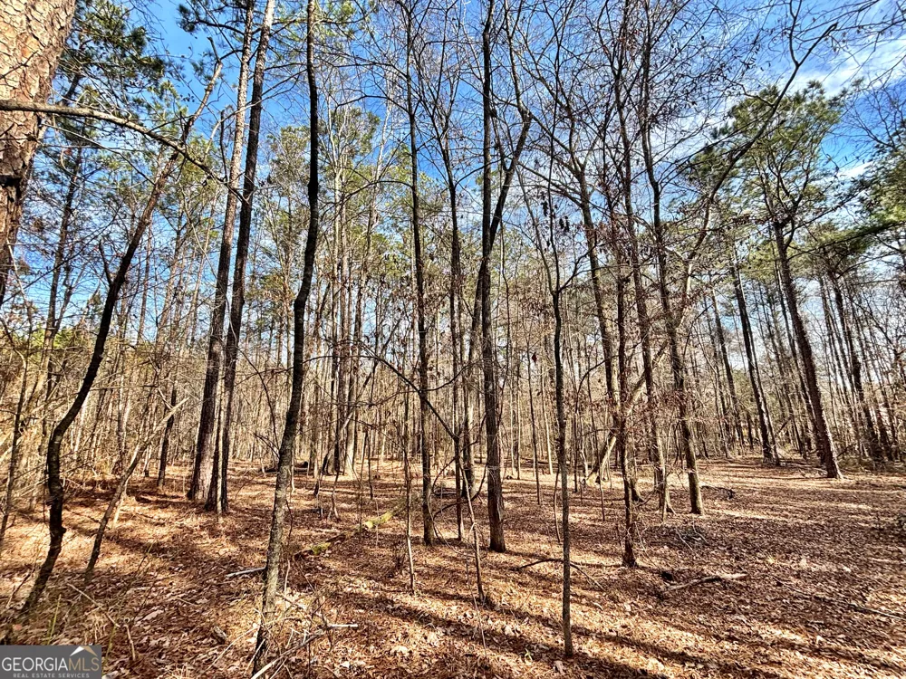 6411 Columbus RD Lizella, GA 31052