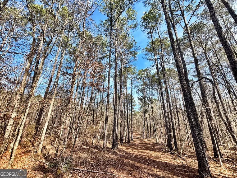 6411 Columbus RD Lizella, GA 31052