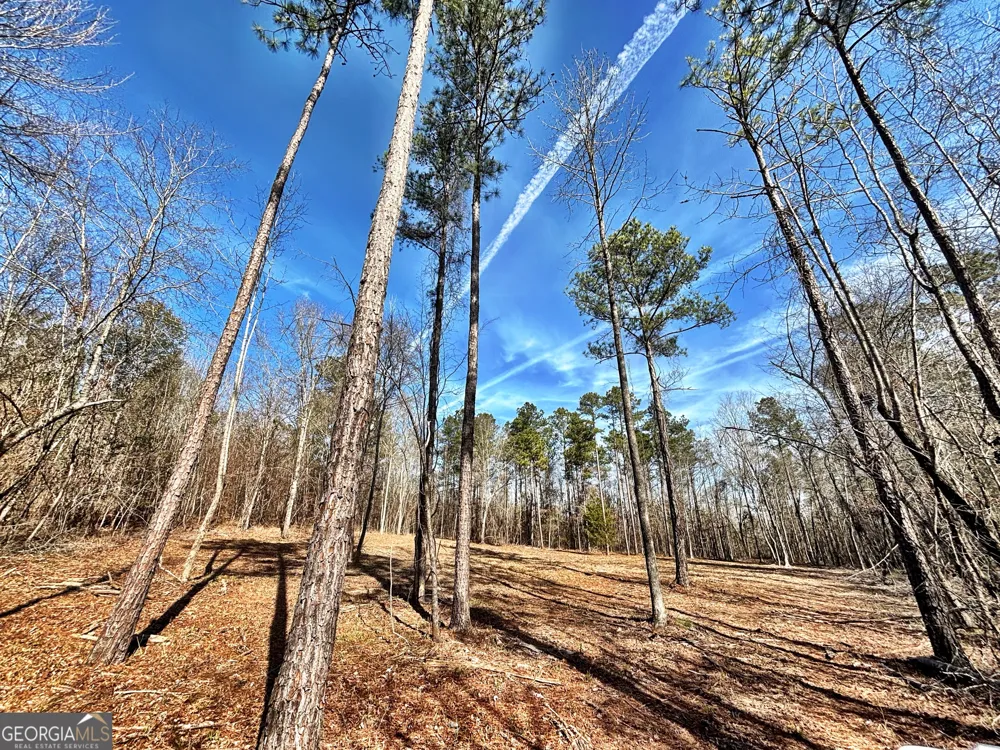 6411 Columbus RD Lizella, GA 31052