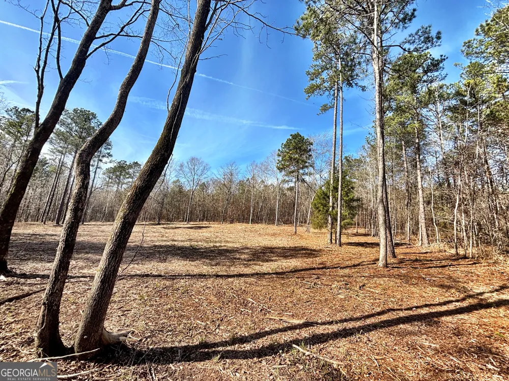 6411 Columbus RD Lizella, GA 31052