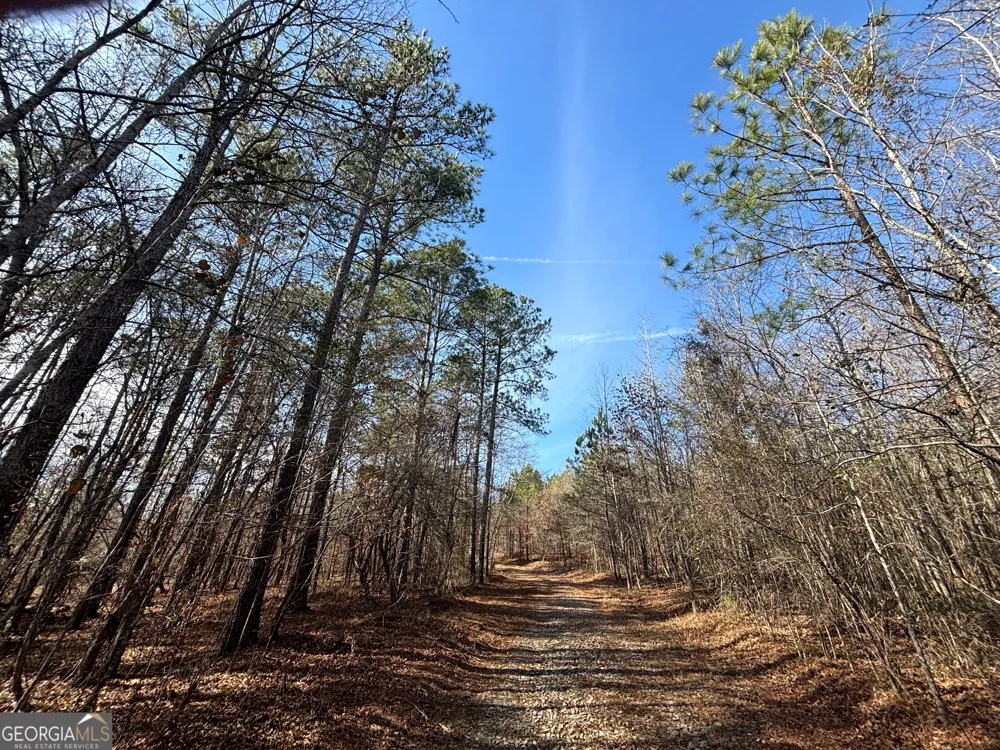 6411 Columbus RD Lizella, GA 31052