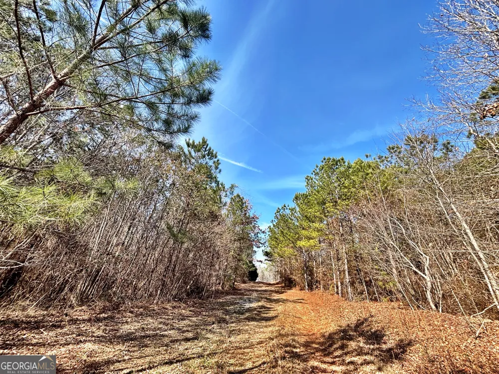 6411 Columbus RD Lizella, GA 31052