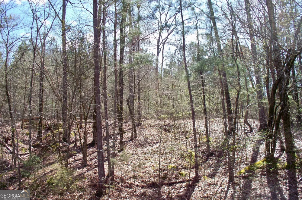 1360 NORTHWOODS DR Greensboro, GA 30642