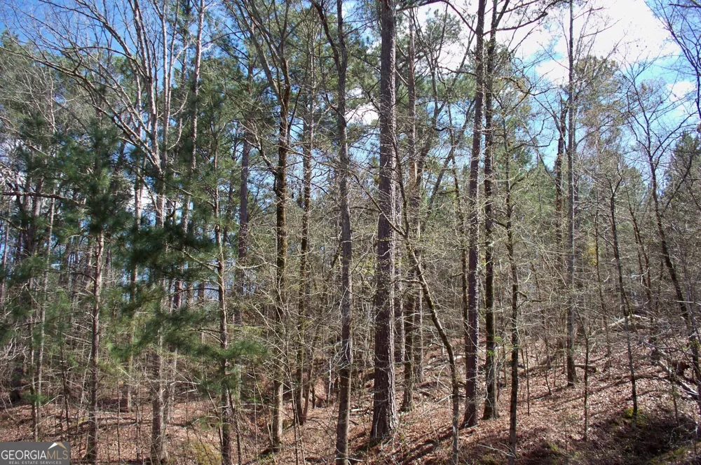 1360 NORTHWOODS DR Greensboro, GA 30642
