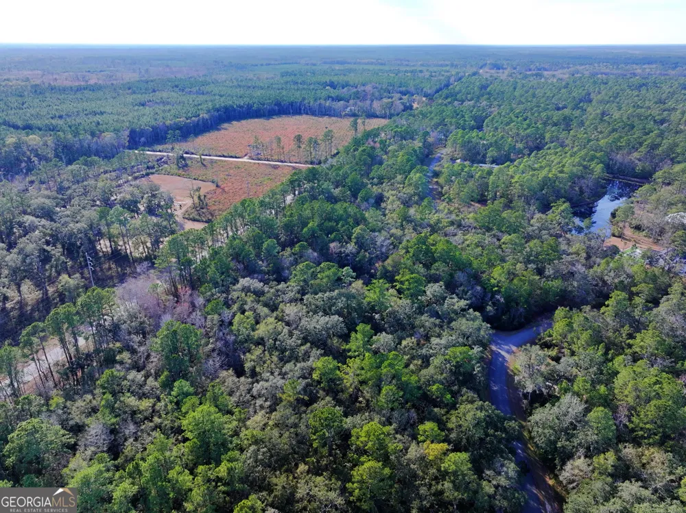0 Merlin CT Waverly, GA 31565