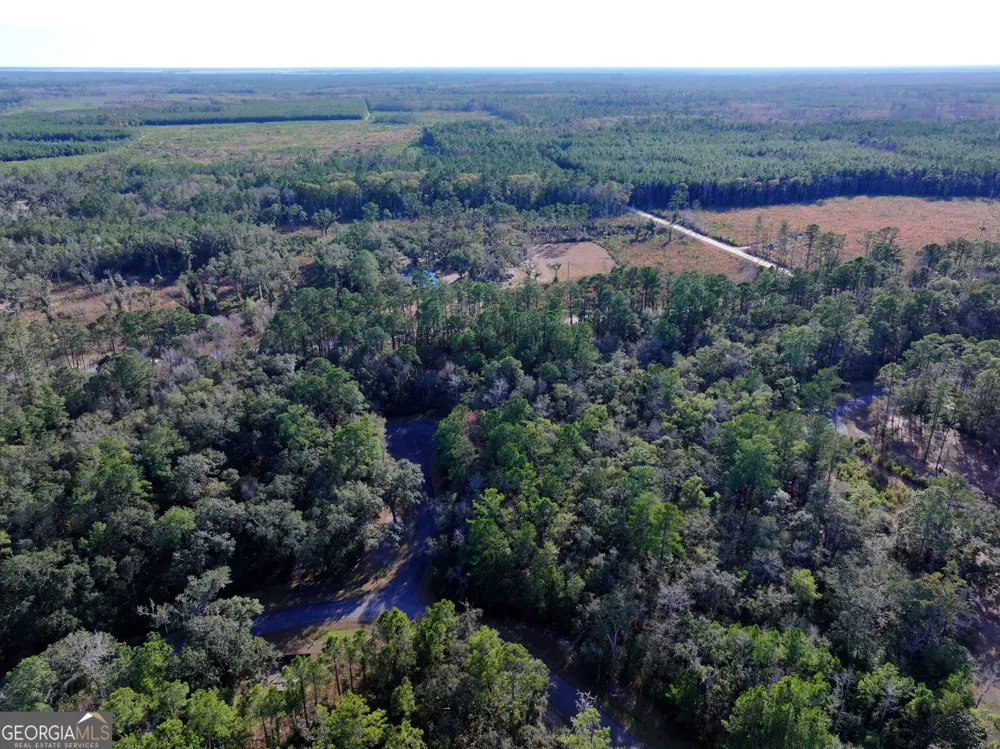 0 Merlin CT Waverly, GA 31565