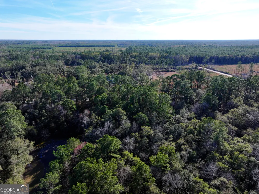 0 Merlin CT Waverly, GA 31565