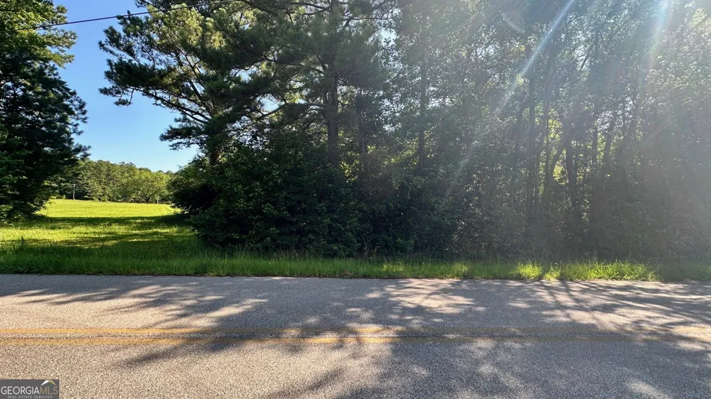 0.94 AC Warren RD White Plains, GA 30678