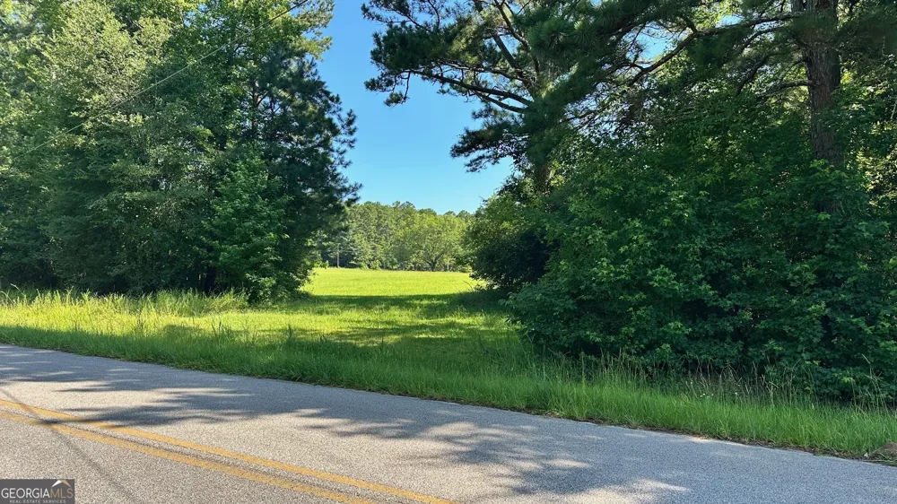0.94 AC Warren RD White Plains, GA 30678