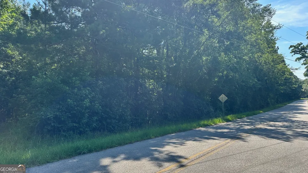 0.94 AC Warren RD White Plains, GA 30678
