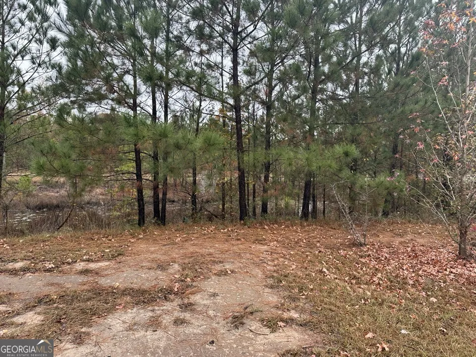 73 Tondee WAY Midway, GA 31320