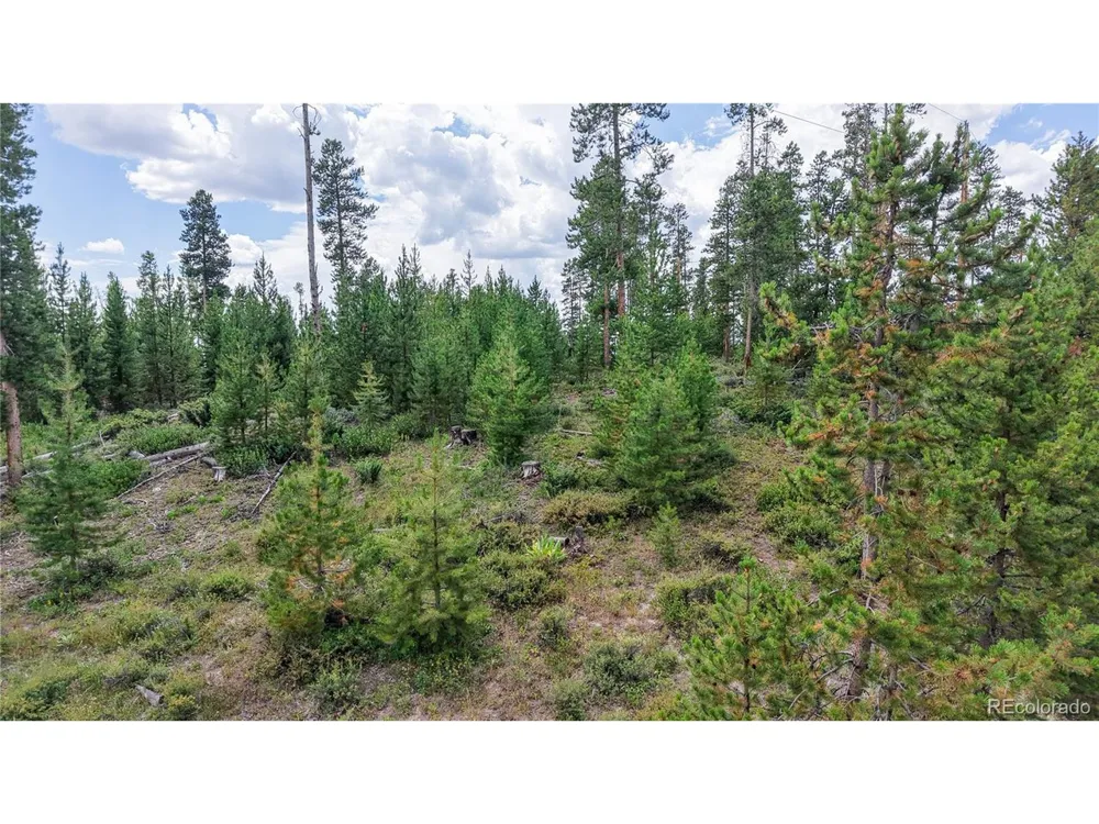 90 County Road 452 Grand Lake, CO 80447