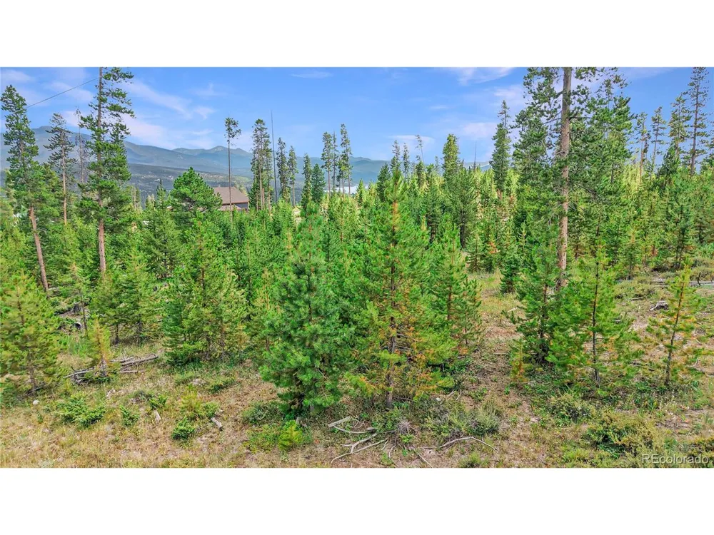 90 County Road 452 Grand Lake, CO 80447
