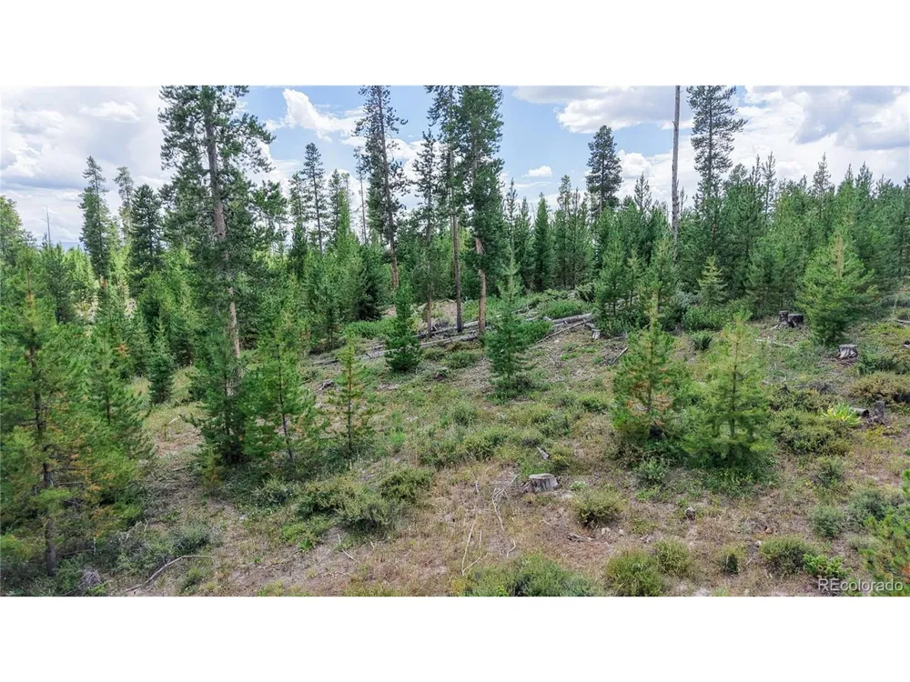 90 County Road 452 Grand Lake, CO 80447