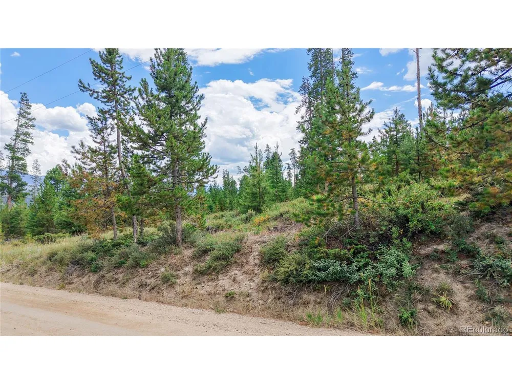 90 County Road 452 Grand Lake, CO 80447