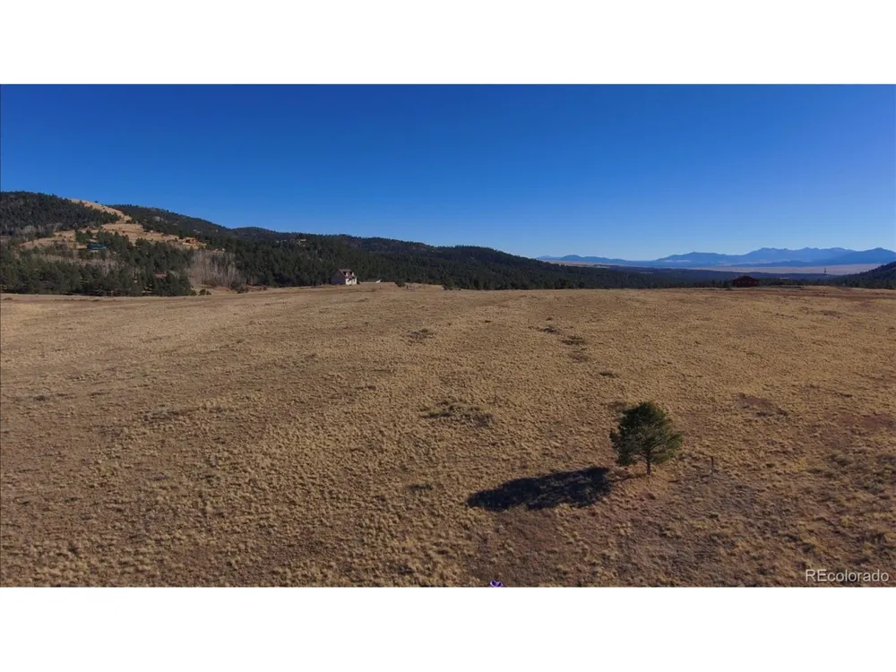 152 Wulsten Way Westcliffe, CO 81252
