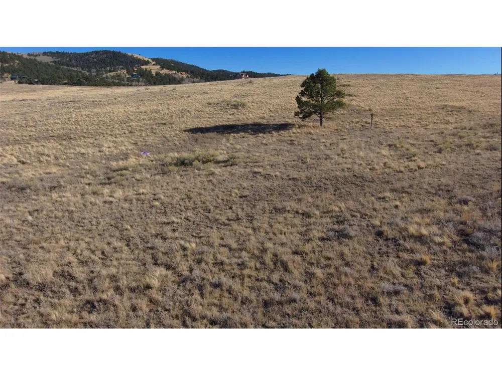 152 Wulsten Way Westcliffe, CO 81252