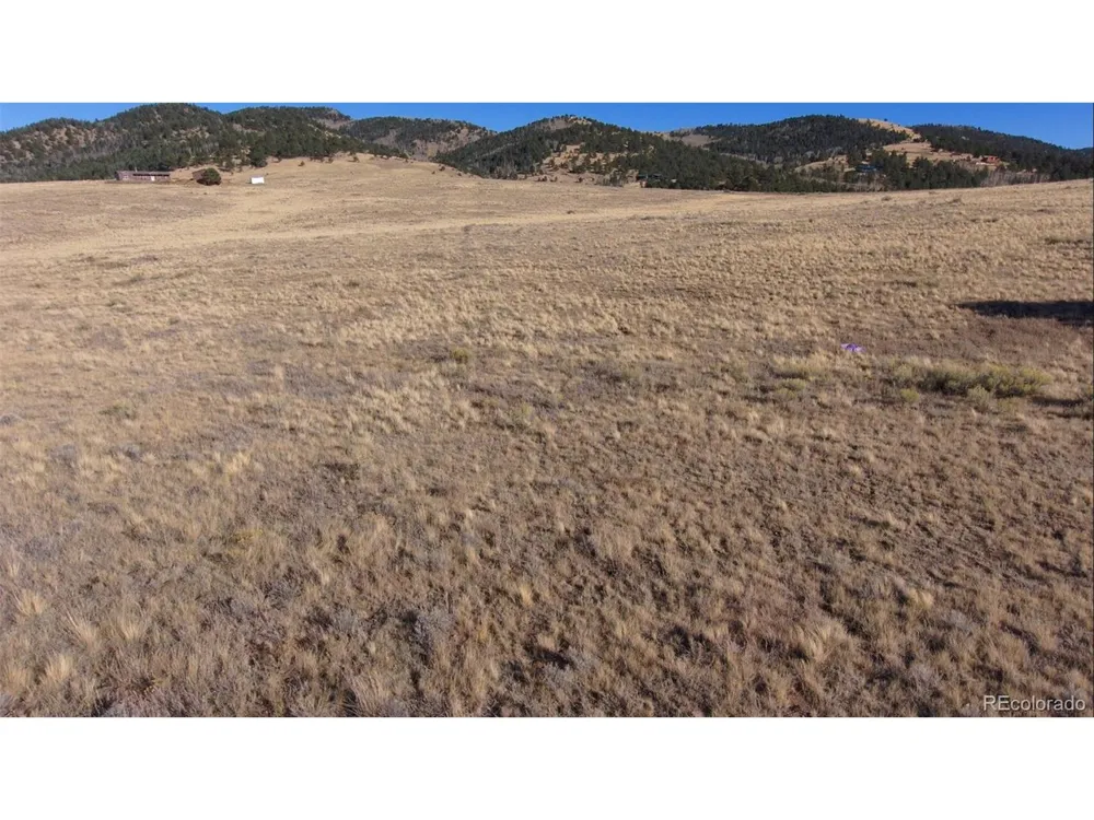 152 Wulsten Way Westcliffe, CO 81252
