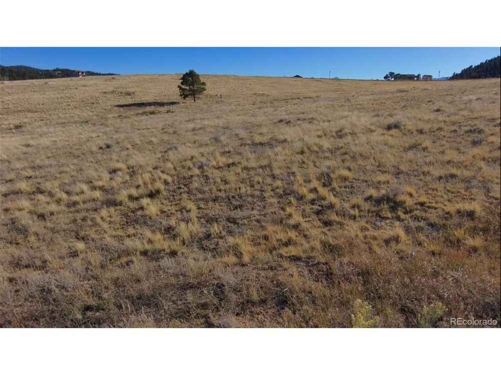 152 Wulsten Way Westcliffe, CO 81252