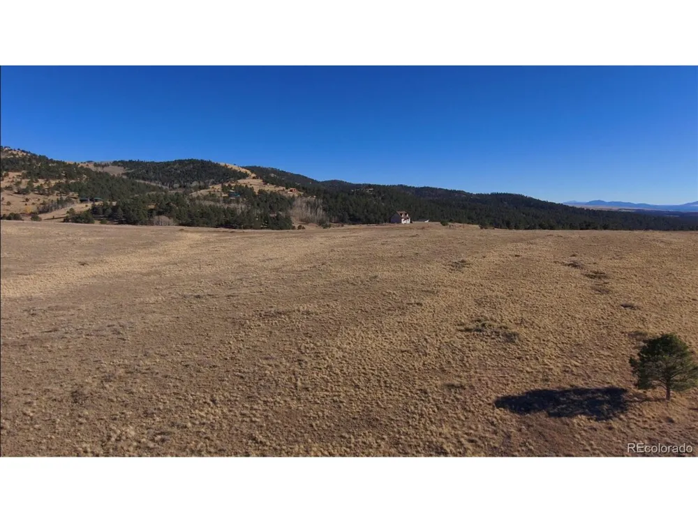 152 Wulsten Way Westcliffe, CO 81252