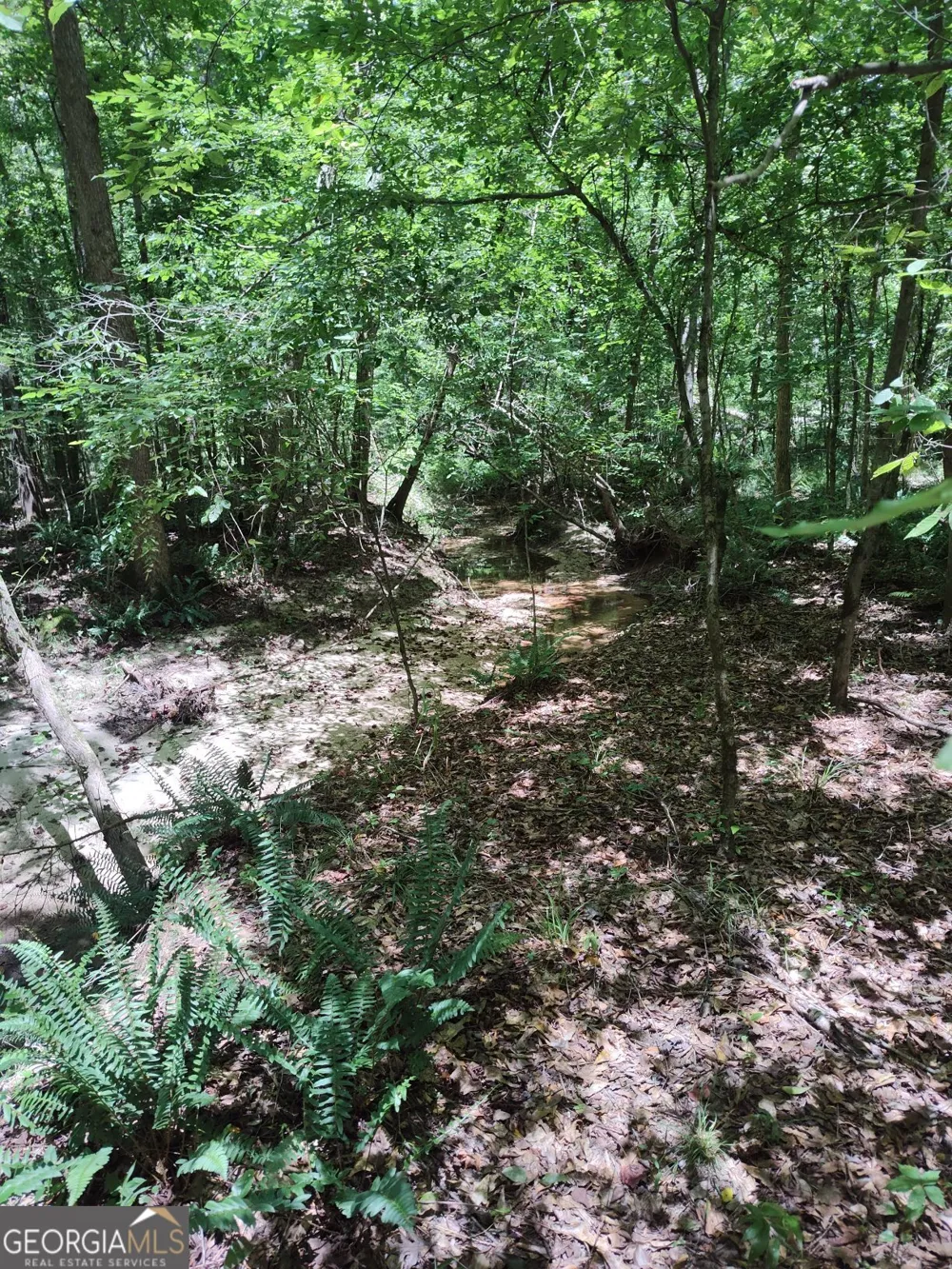 2211 Indian Hill RD Elberton, GA 30635
