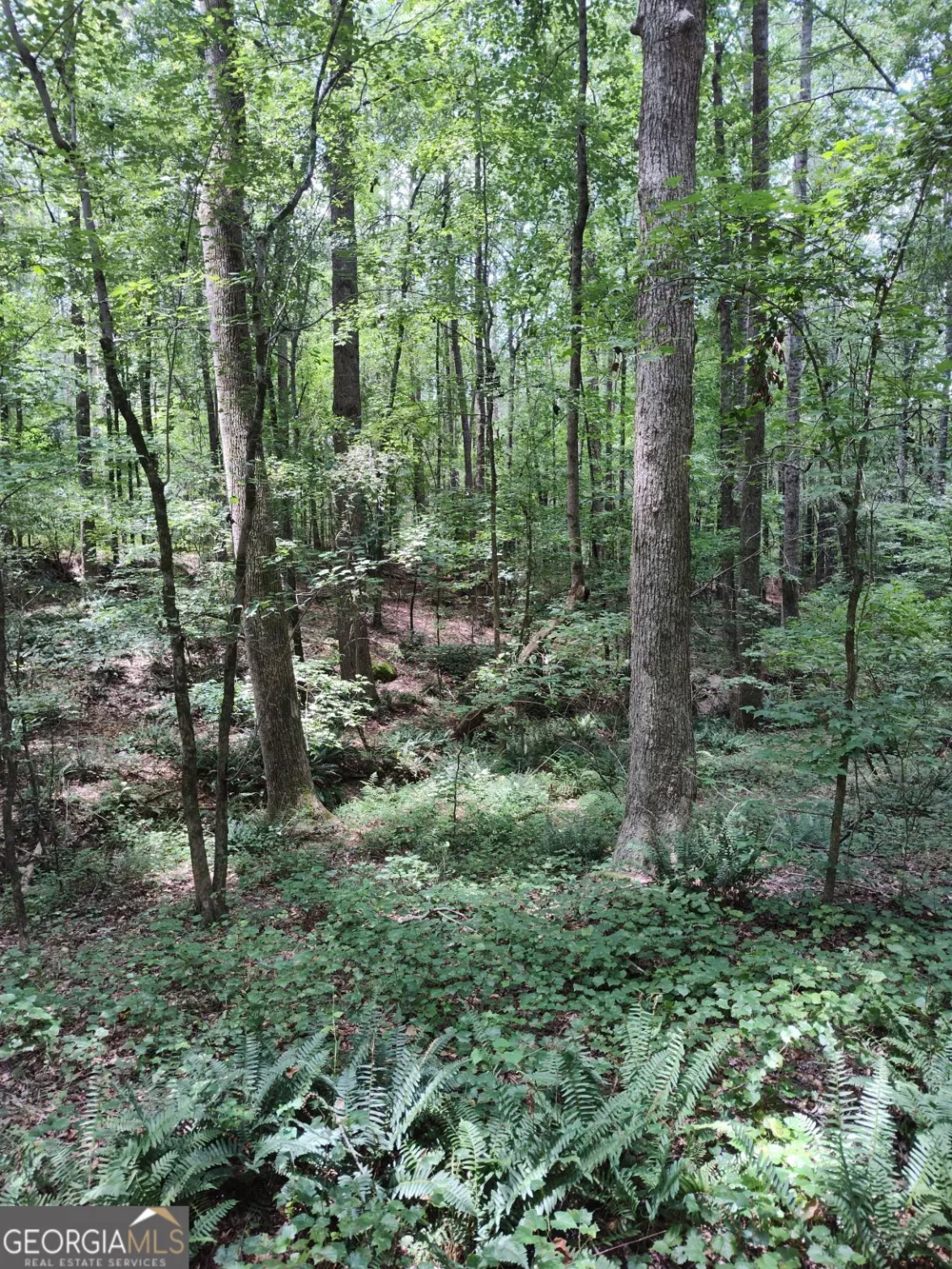 2211 Indian Hill RD Elberton, GA 30635