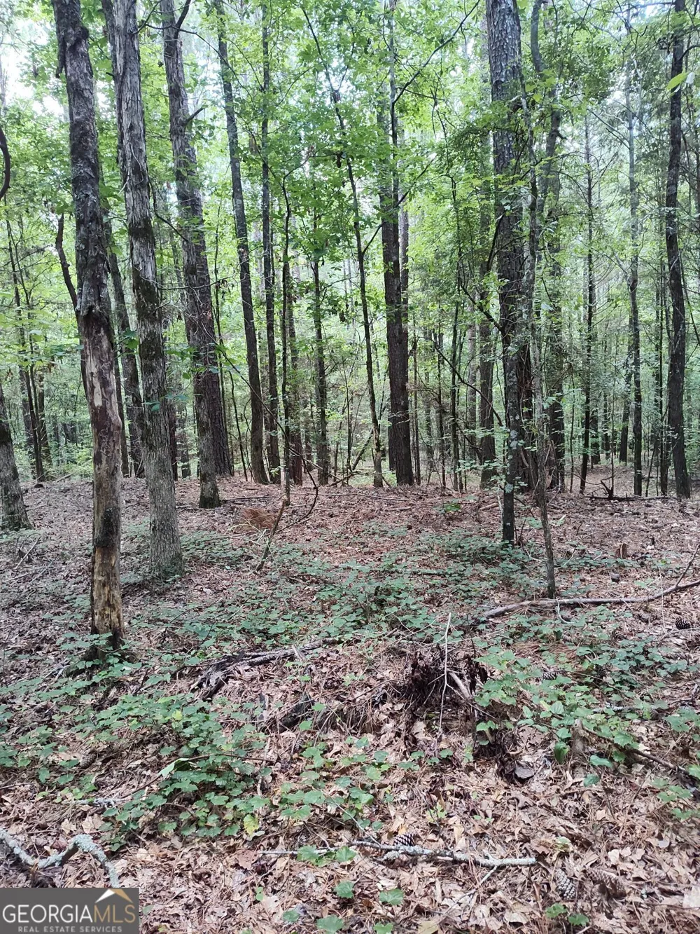 2211 Indian Hill RD Elberton, GA 30635