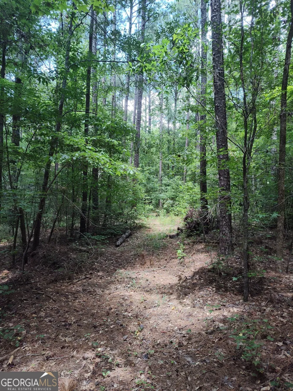 2211 Indian Hill RD Elberton, GA 30635