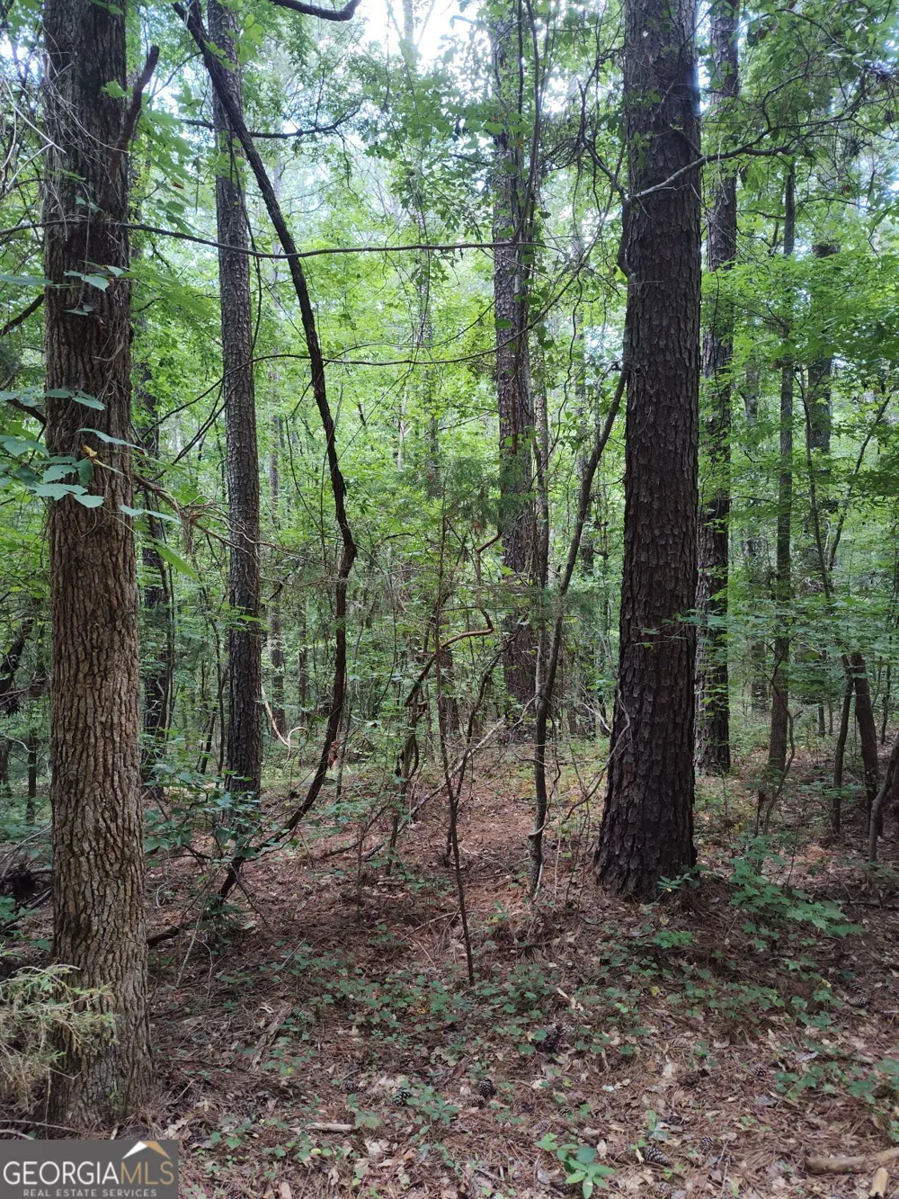2211 Indian Hill RD Elberton, GA 30635