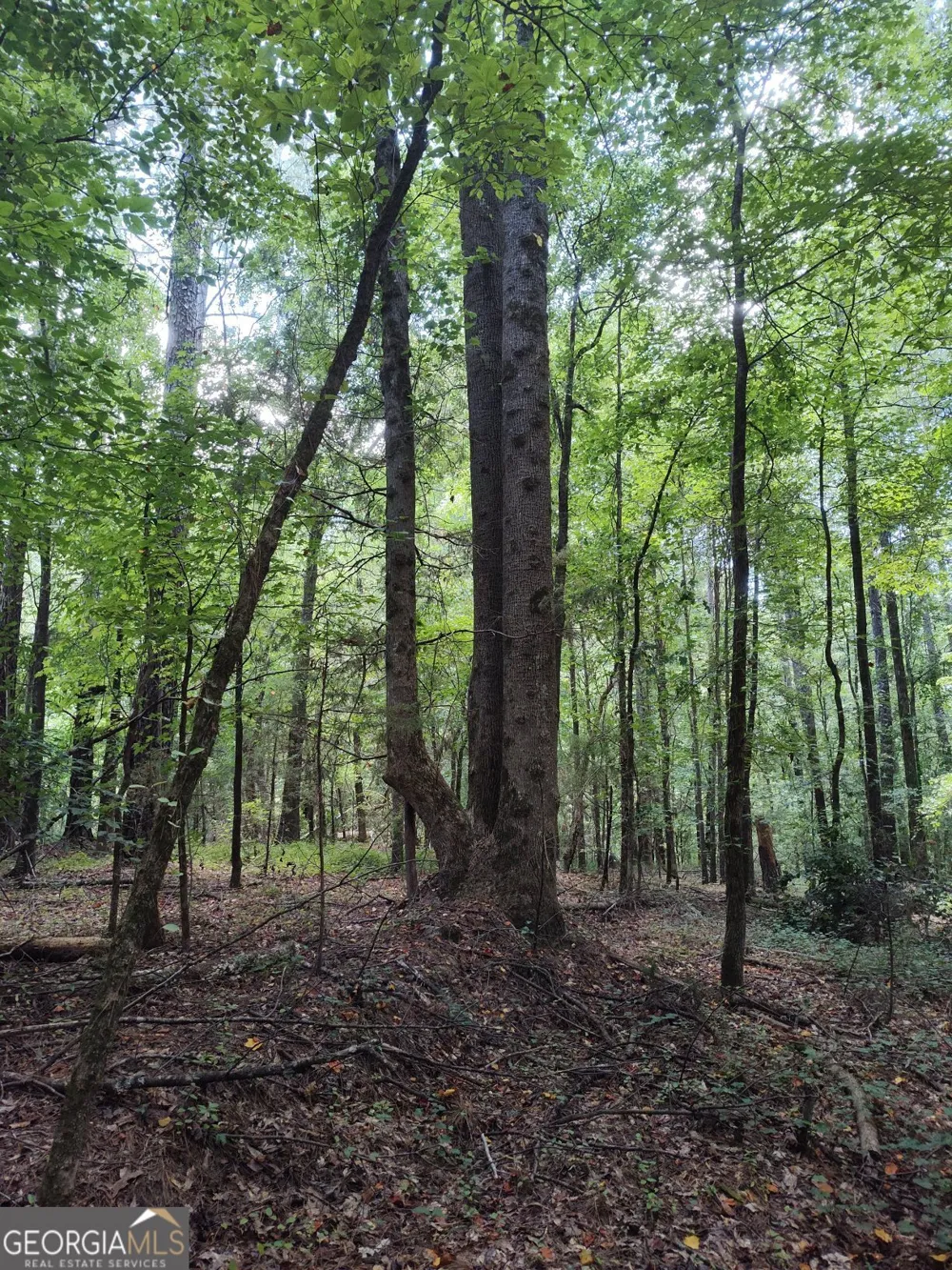 2211 Indian Hill RD Elberton, GA 30635