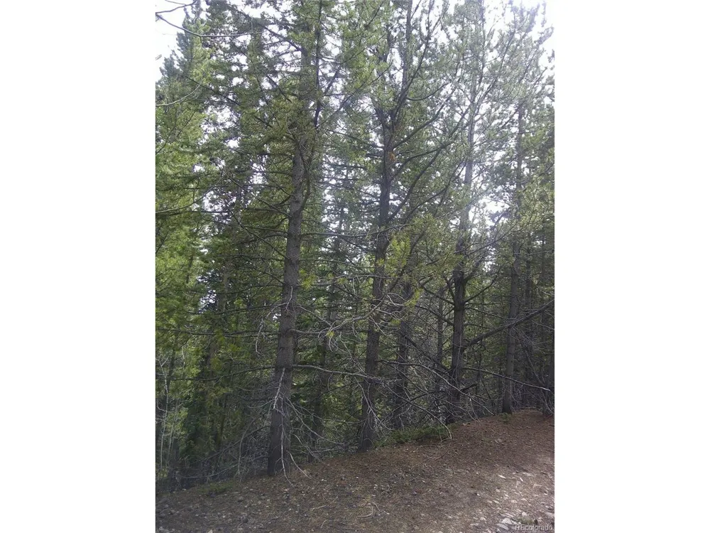 440 Hillside Road Idaho Springs, CO 80452