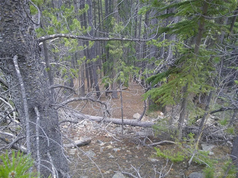 440 Hillside Road Idaho Springs, CO 80452