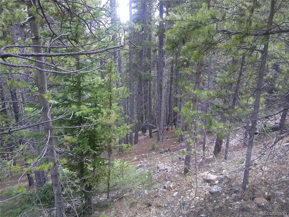 440 Hillside Road Idaho Springs, CO 80452