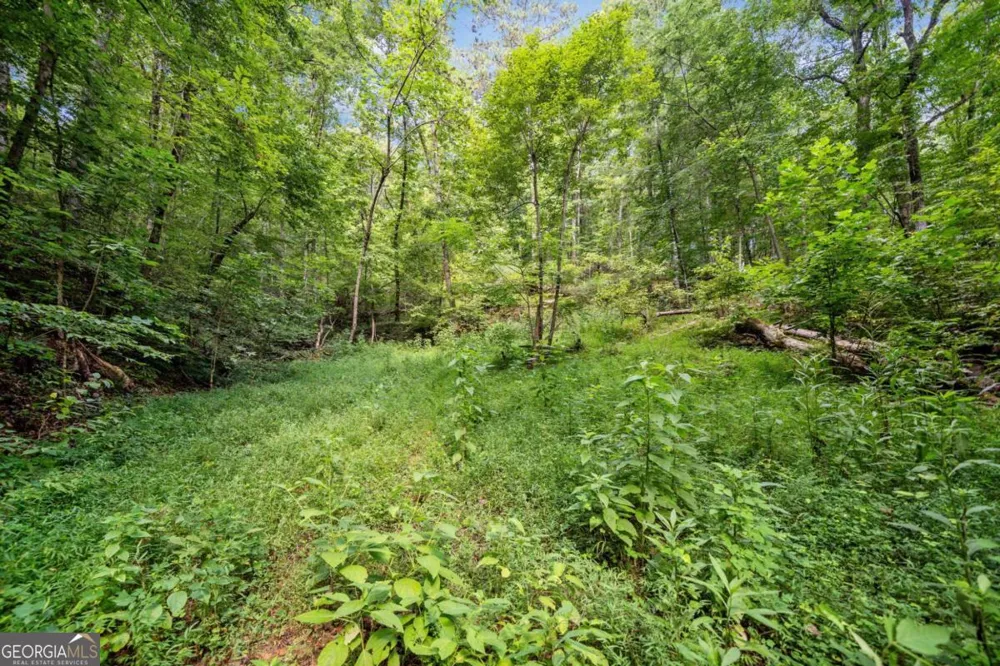 3.11 Acres Cove RD Jasper, GA 30143