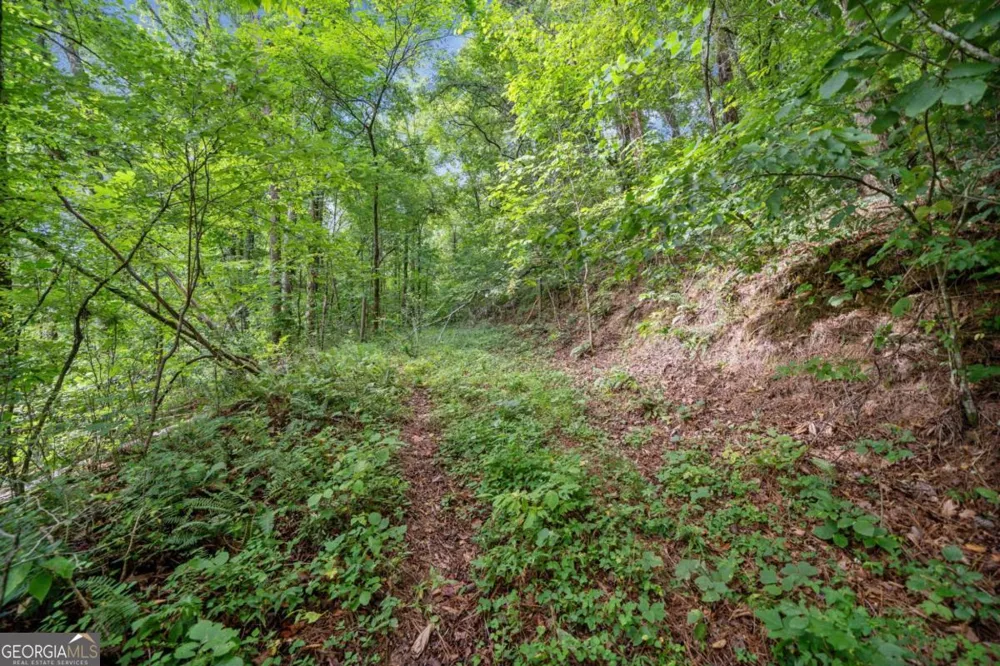 3.11 Acres Cove RD Jasper, GA 30143
