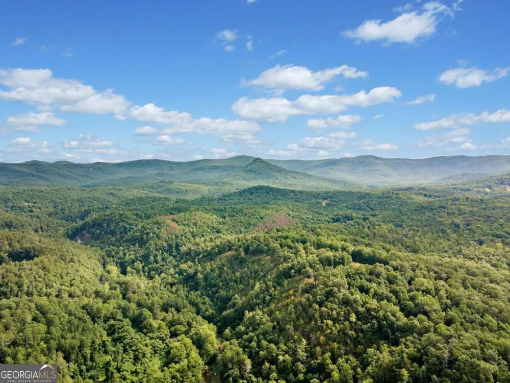 3.11 Acres Cove RD Jasper, GA 30143