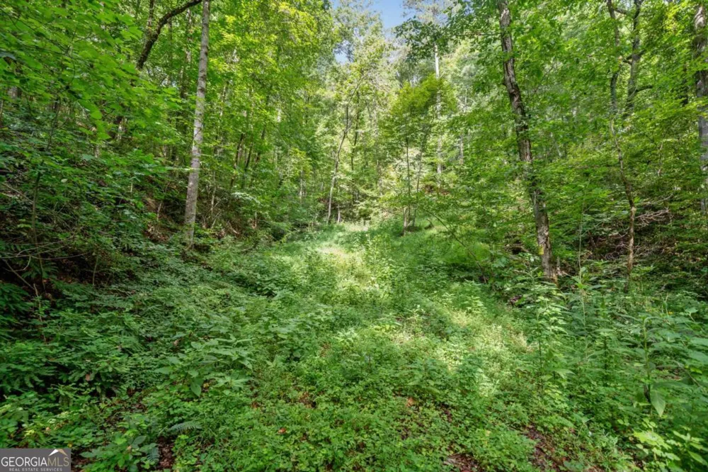 3.11 Acres Cove RD Jasper, GA 30143