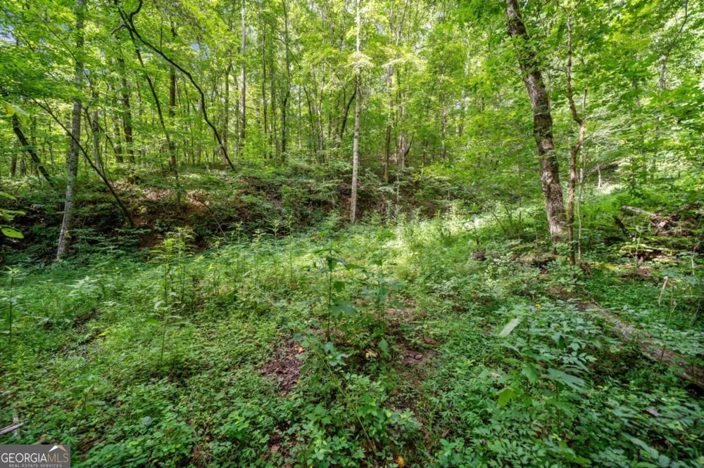 3.11 Acres Cove RD Jasper, GA 30143