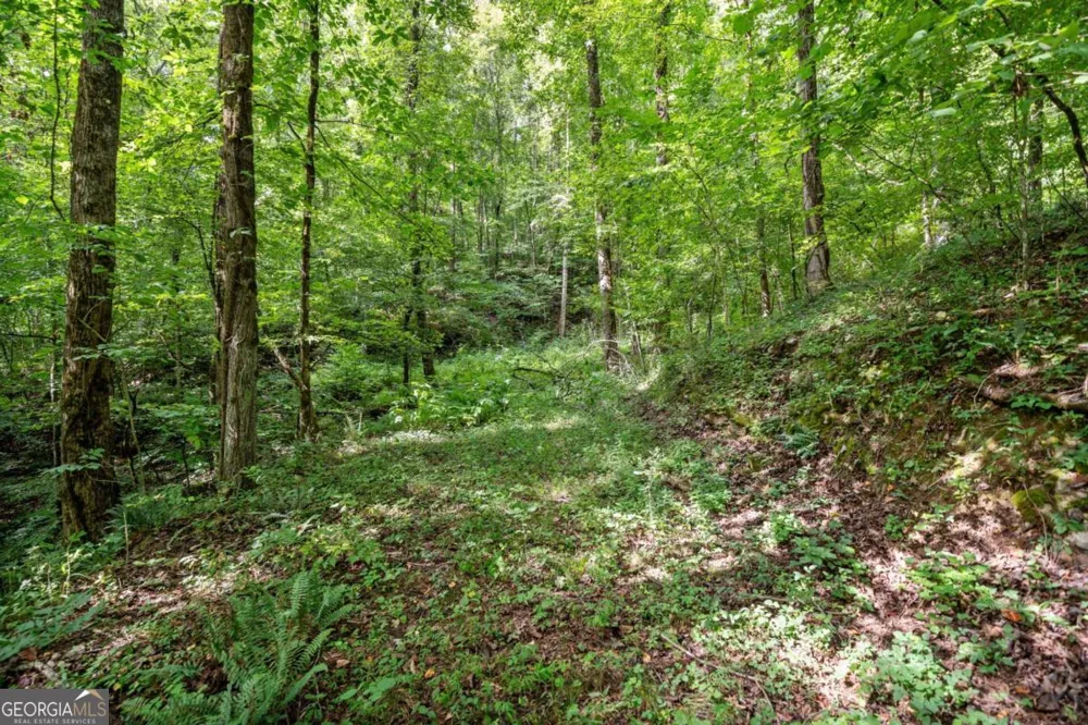 3.11 Acres Cove RD Jasper, GA 30143