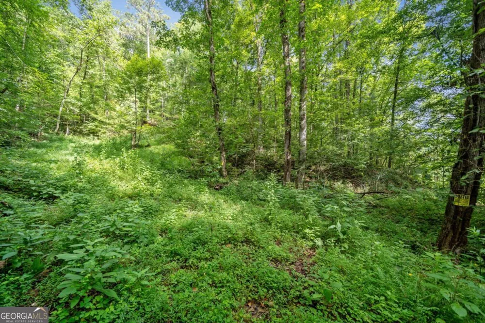 3.11 Acres Cove RD Jasper, GA 30143