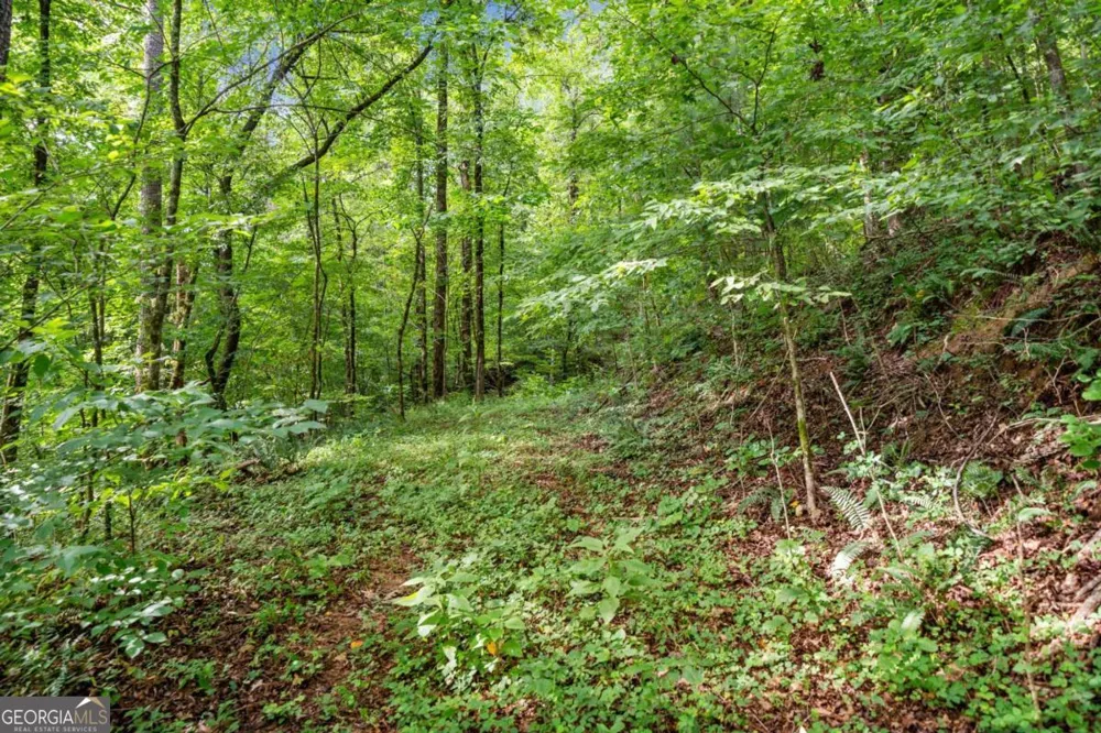 3.11 Acres Cove RD Jasper, GA 30143