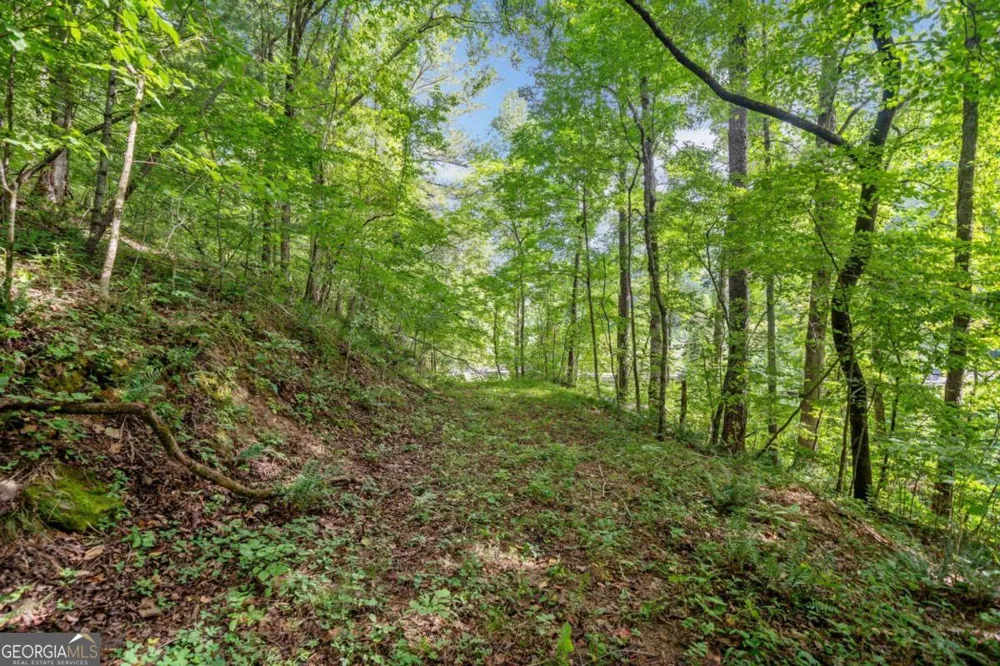 3.11 Acres Cove RD Jasper, GA 30143