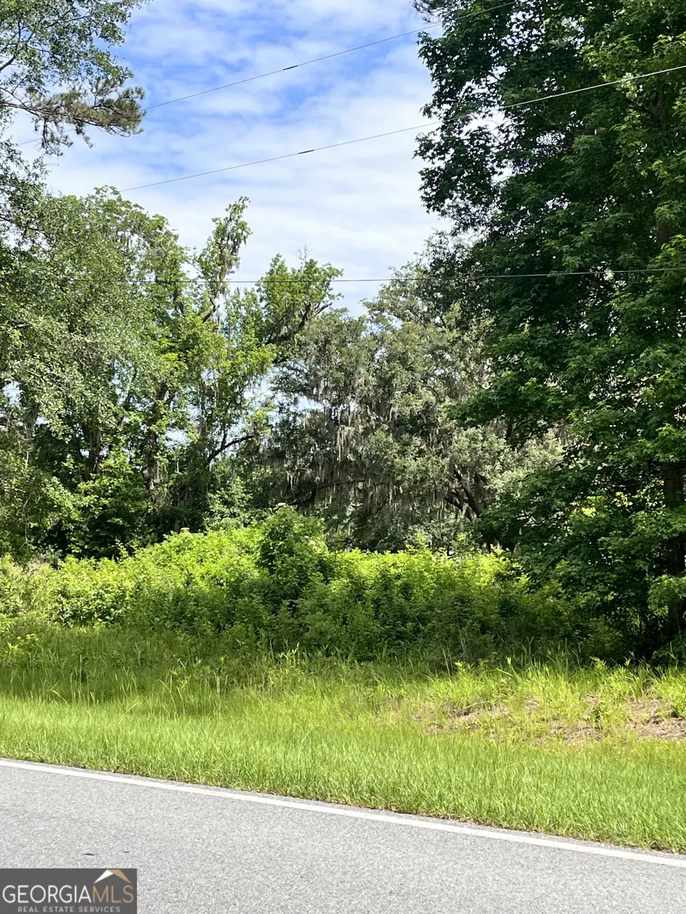 0 Sandy Run RD Riceboro, GA 31323
