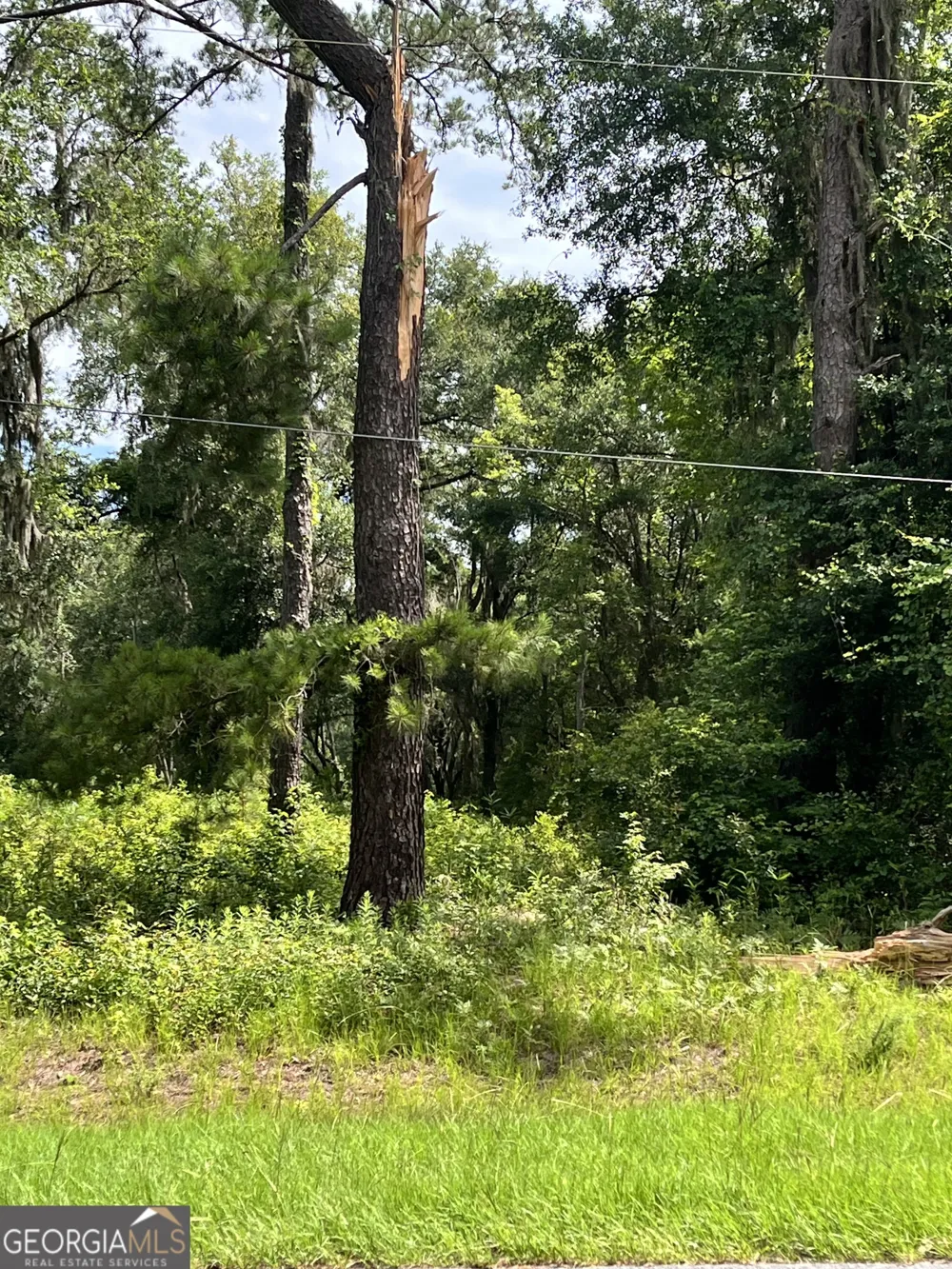 0 Sandy Run RD Riceboro, GA 31323